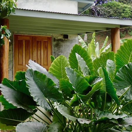 Casa Salvaje Vacation Rentals Bocas del Toro Eksteriør bilde