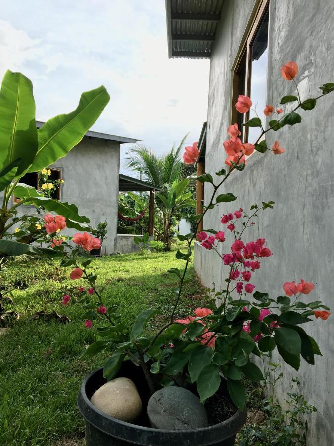 Casa Salvaje Vacation Rentals Bocas del Toro Eksteriør bilde