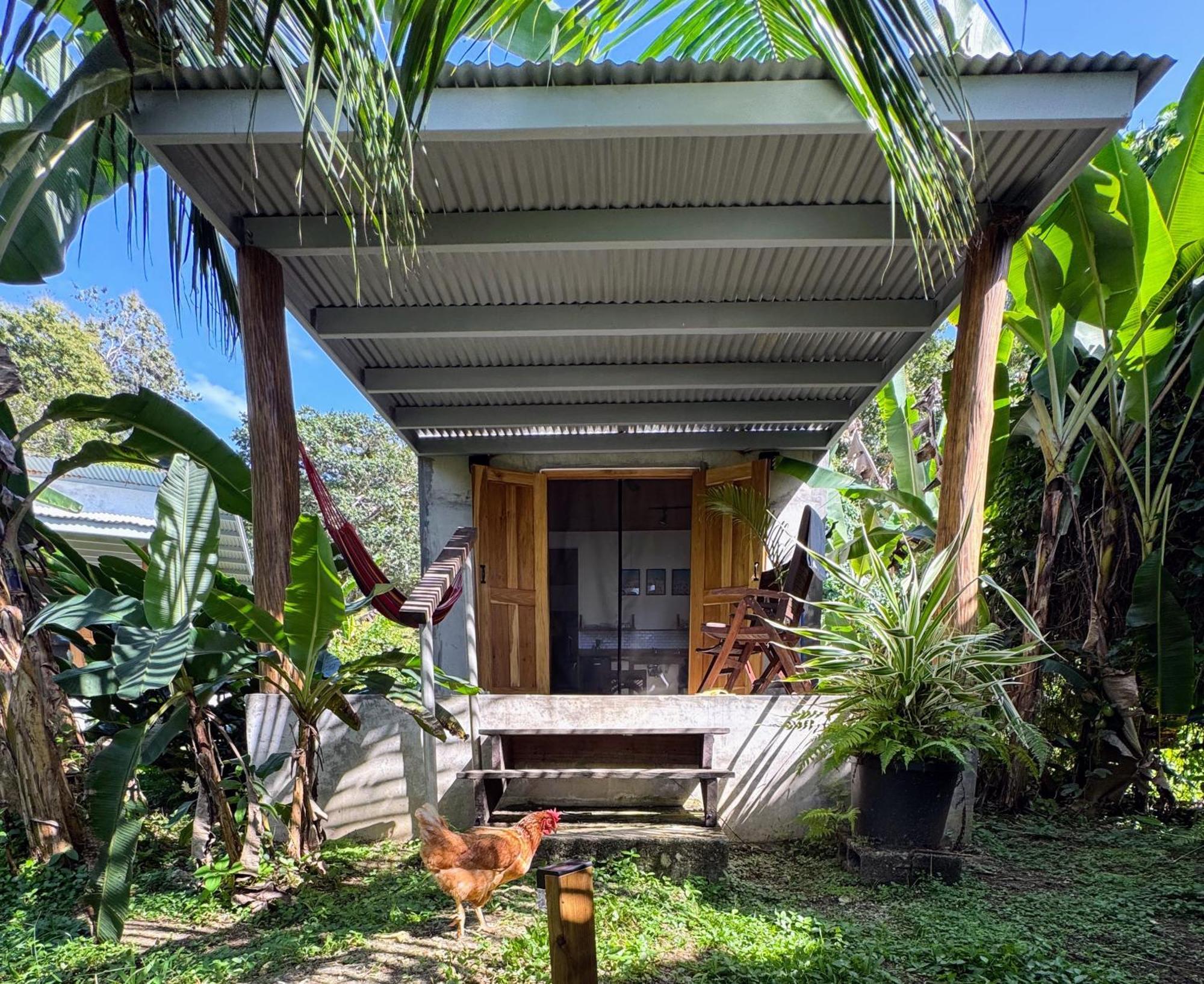 Casa Salvaje Vacation Rentals Bocas del Toro Eksteriør bilde