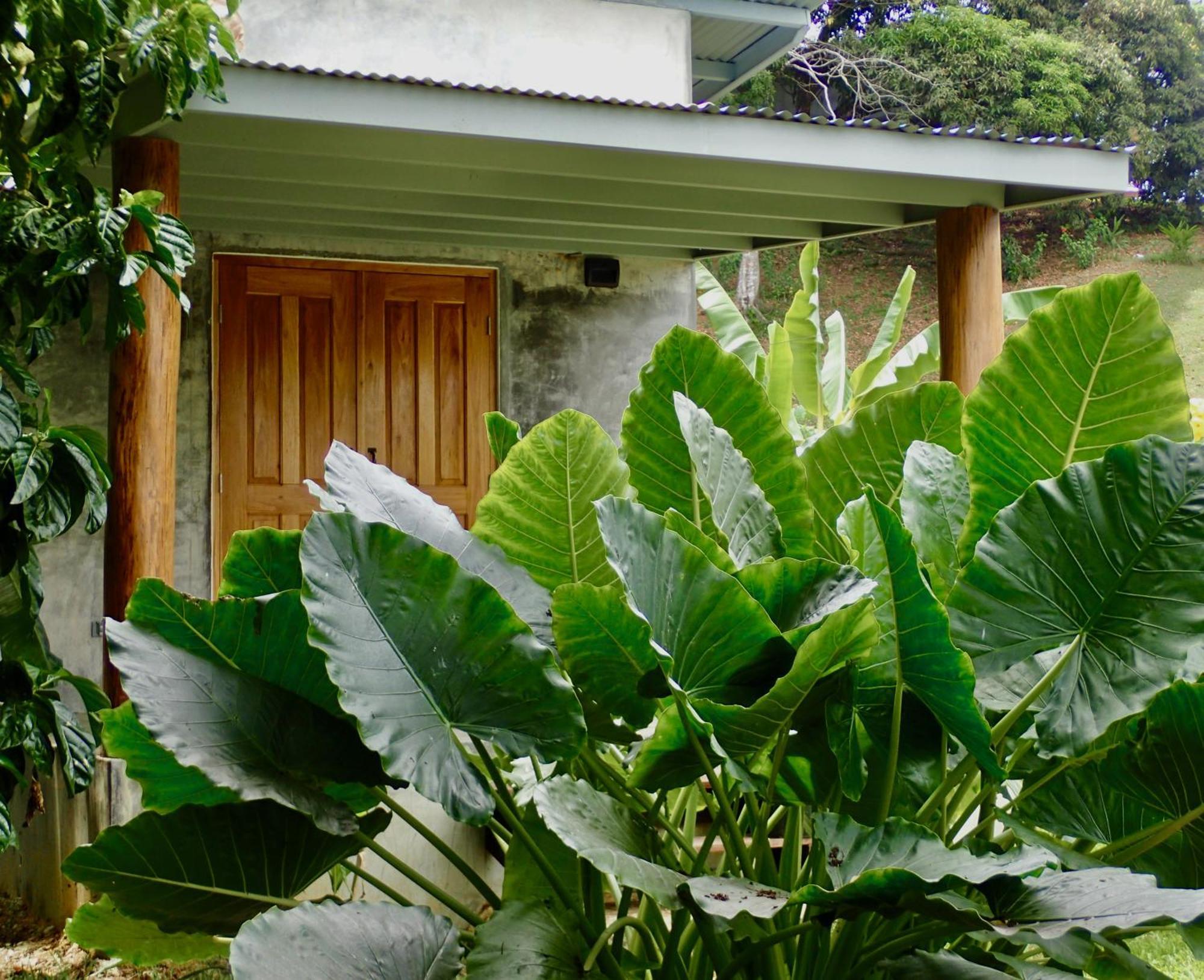 Casa Salvaje Vacation Rentals Bocas del Toro Eksteriør bilde
