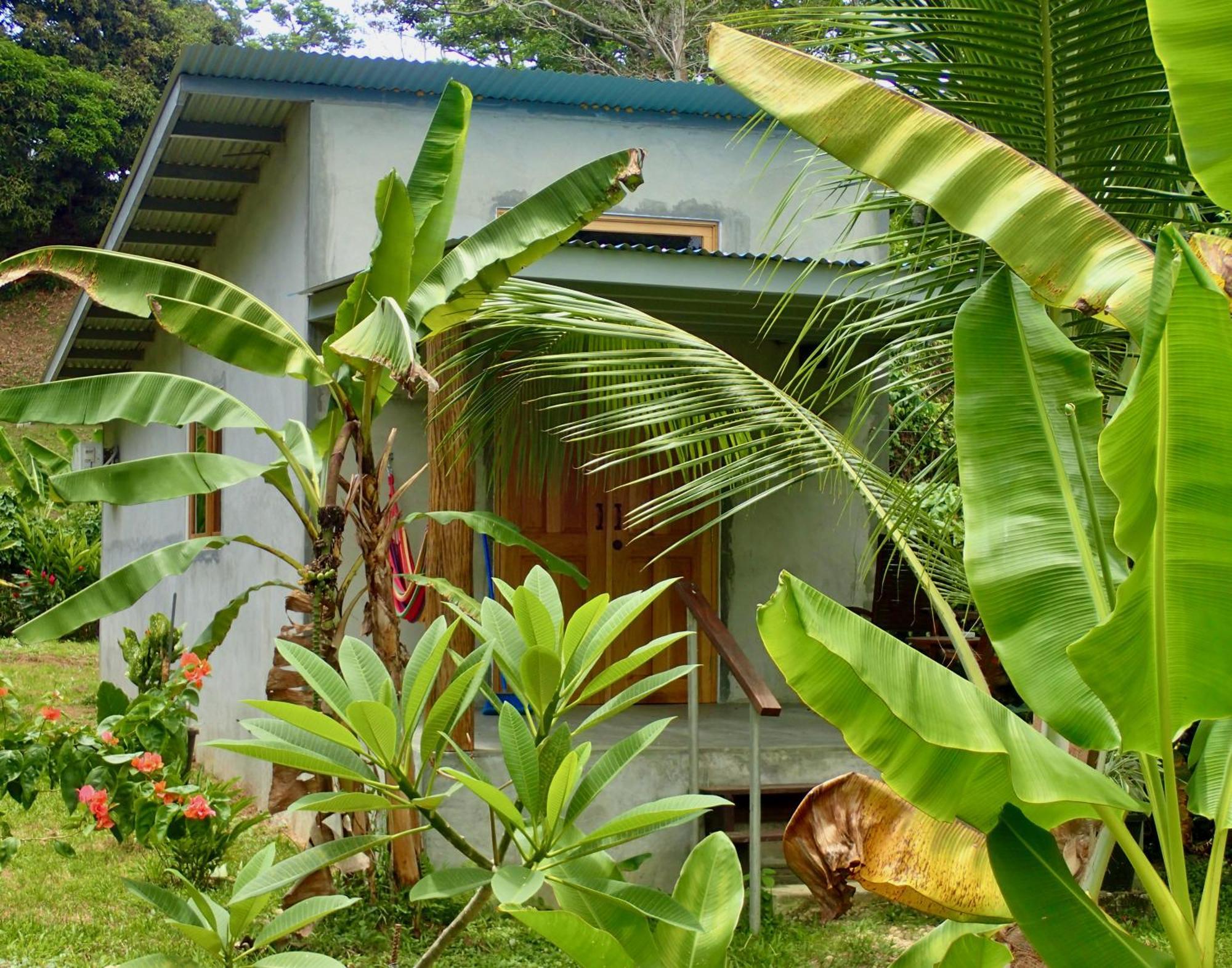 Casa Salvaje Vacation Rentals Bocas del Toro Eksteriør bilde