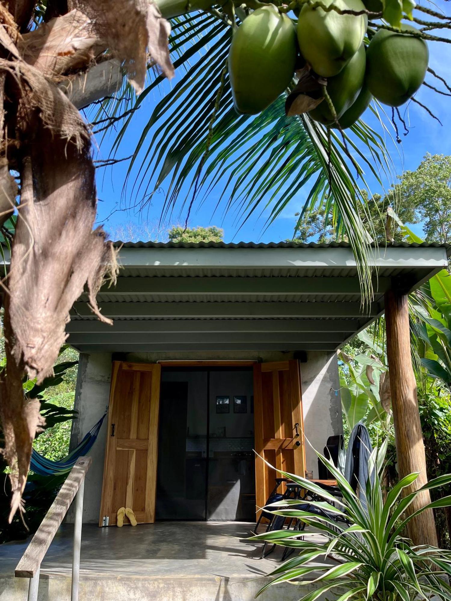 Casa Salvaje Vacation Rentals Bocas del Toro Eksteriør bilde